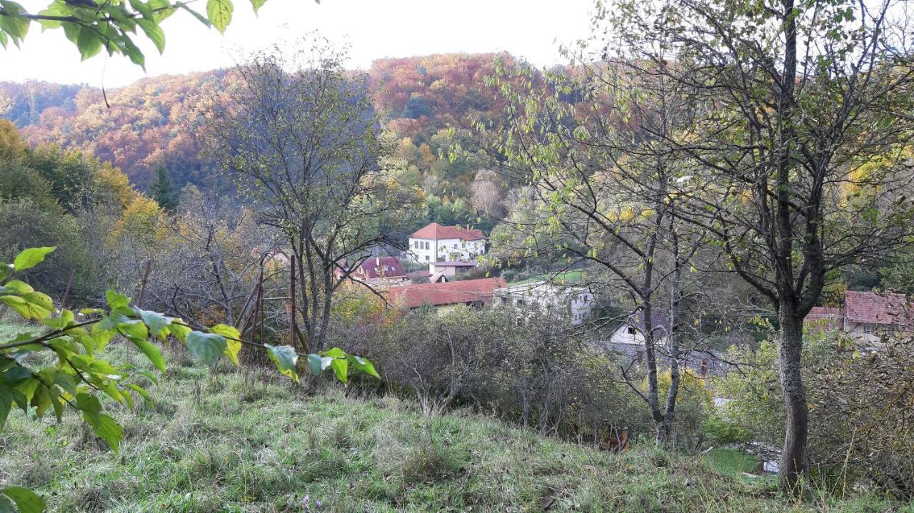 Penzion Pri Studnicke Omastina Extérieur photo
